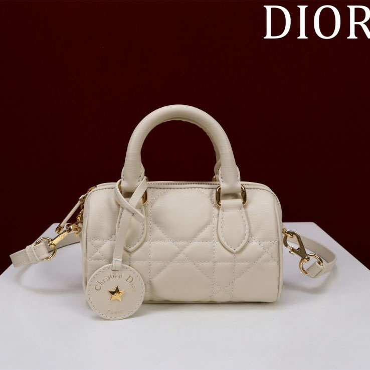 chr1st1an D10r boston bags